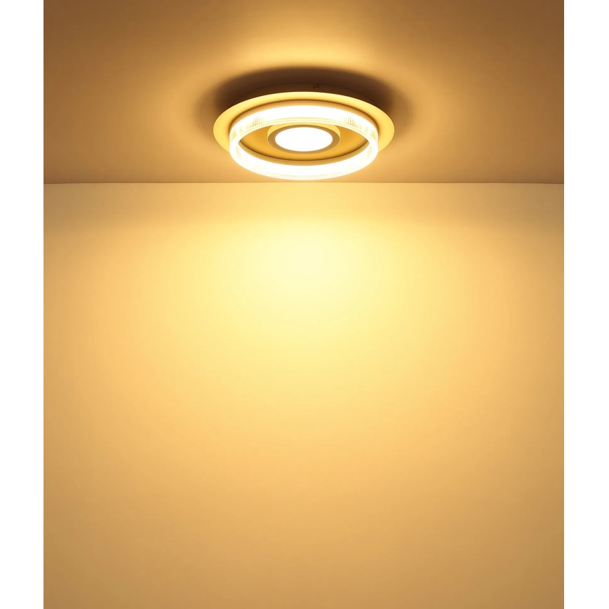 Globo - LED griestu lampa LED/24W/230V 3000K Ø 40 cm