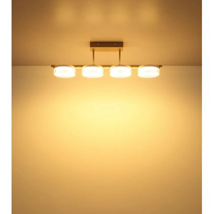 Globo - LED piestiprināma griestu lustra LED/24W/230V 3000K