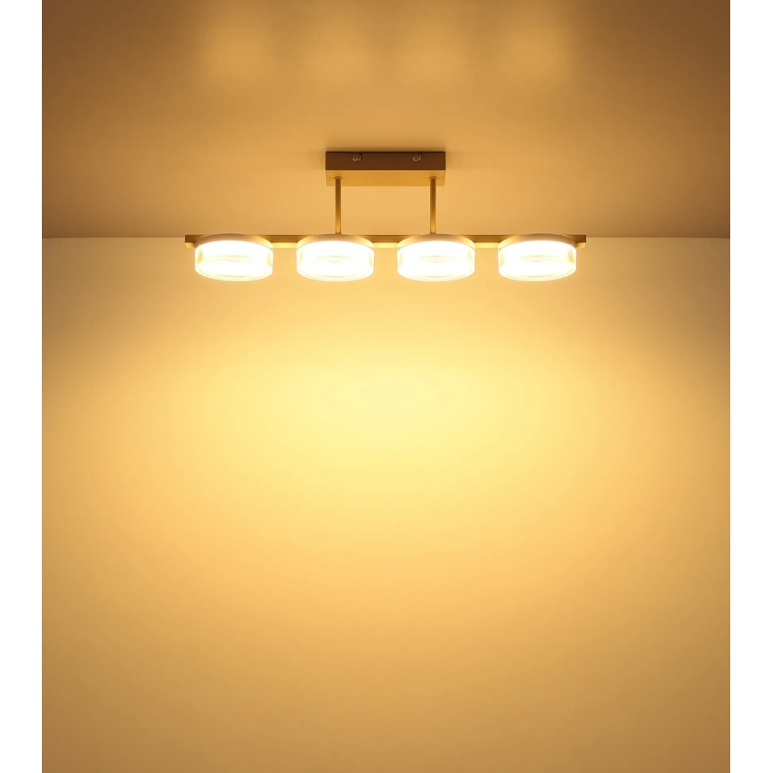 Globo - LED piestiprināma griestu lustra LED/24W/230V 3000K