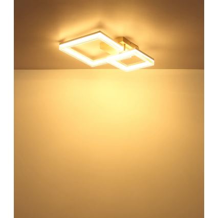 Globo - LED griestu gaismeklis LED/24W/230V 3000K 46,5x62,5 cm