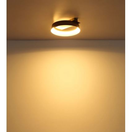 Globo - LED griestu gaismeklis LED/12W/230V 3000K 26x25 cm