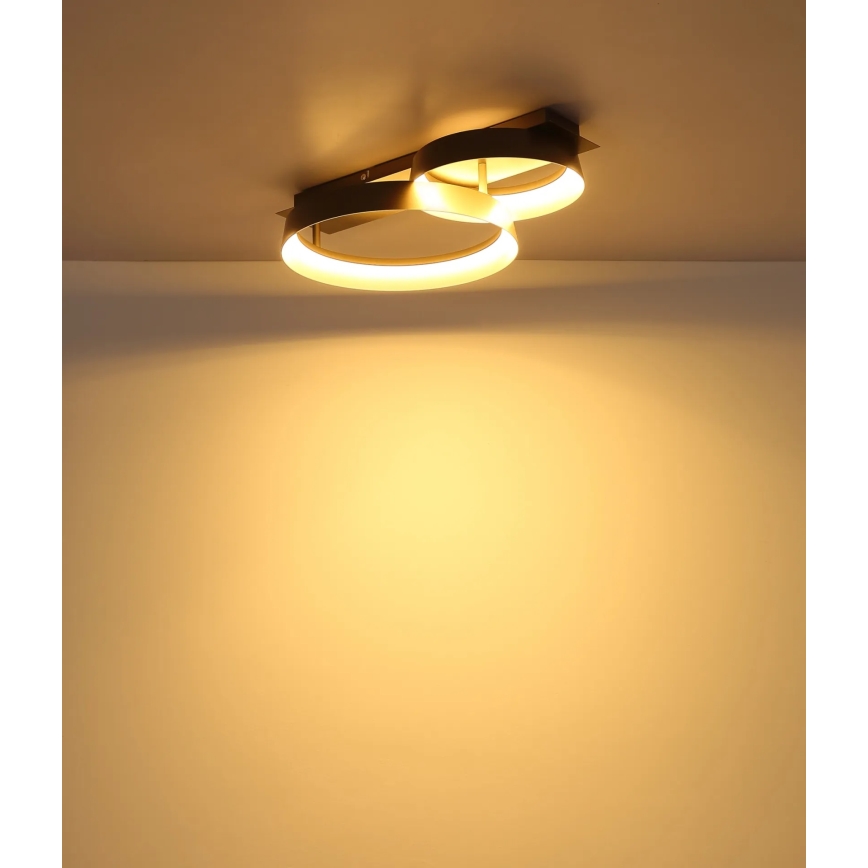 Globo - LED griestu gaismeklis LED/24W/230V 3000K 50x35 cm