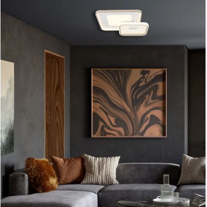 Globo - LED griestu lampa ar regulējamu spilgtumu LED/48W/230V 2700-6000K 50x50 cm + tālvadības pults