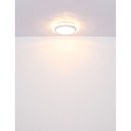 Globo - LED Griestu lampa LED/22W/230V 3000K d. 40 cm