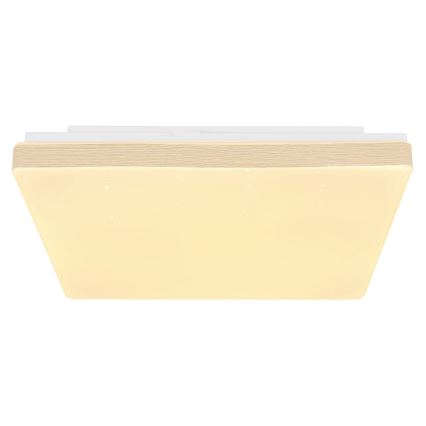 Globo - LED Griestu gaismeklis LED/12W/230V