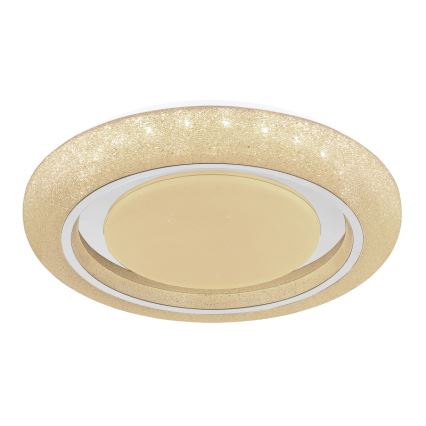 Globo 483111-40 - LED Griestu lampa RADA LED/40W/230V 2700/4200/6500K d. 49 cm