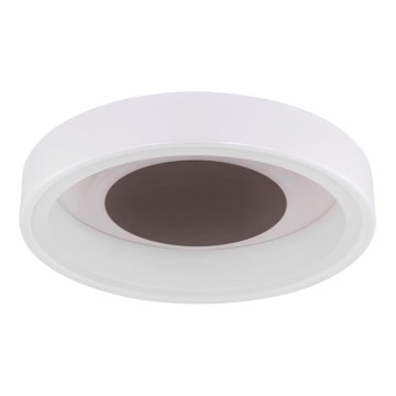Globo 48398-24 - LED Griestu lampa GOFFI LED/30W/230V