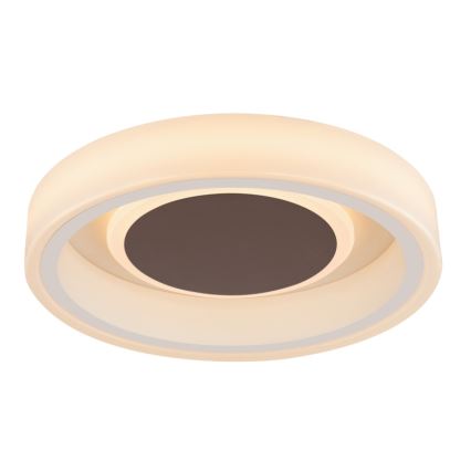 Globo 48398-24 - LED Griestu lampa GOFFI LED/30W/230V