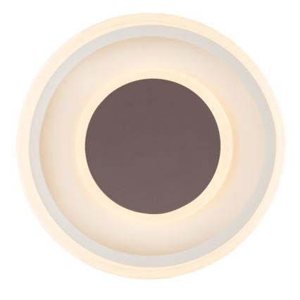 Globo 48398-24 - LED Griestu lampa GOFFI LED/30W/230V