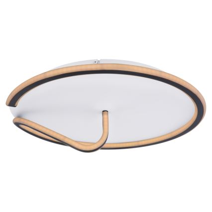 Globo - LED Aptumšojama griestu lampa RODAN LED/50W/230V 3000-6000K + tālvadības pults