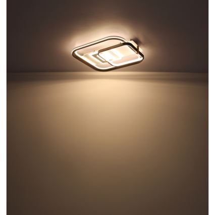 Globo 48459-48 - Regulējama LED griestu lampa ANI LED/48W/230V 2700-6000K 48x52 cm + tālvadības pults