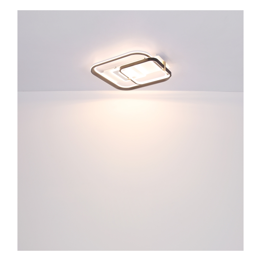 Globo 48459-48 - Regulējama LED griestu lampa ANI LED/48W/230V 2700-6000K 48x52 cm + tālvadības pults