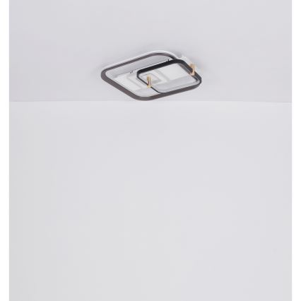 Globo 48459-48 - Regulējama LED griestu lampa ANI LED/48W/230V 2700-6000K 48x52 cm + tālvadības pults