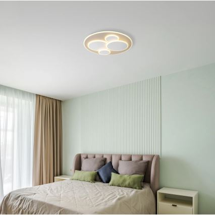 Globo - LED griestu gaismeklis LED/40W/230V 3000K Ø 49 cm