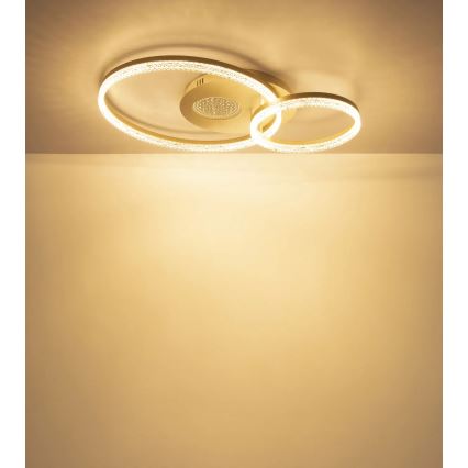Globo - LED griestu gaismeklis LED/30W/230V 3000K 70x50 cm bēšs