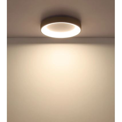 Globo - regulējams LED griestu gaismeklis LED/48W/230V 2700-6000K Ø 50 cm + tālvadības pults