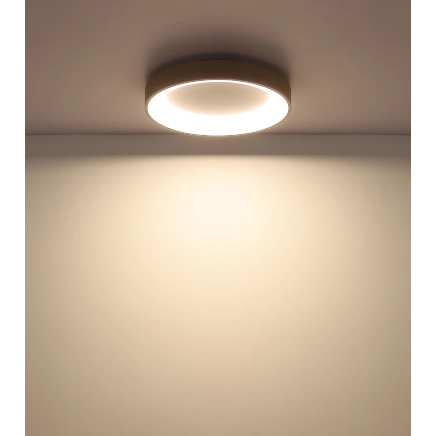 Globo - regulējams LED griestu gaismeklis LED/48W/230V 2700-6000K Ø 50 cm + tālvadības pults