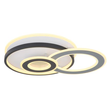 Globo 48552D4 - LED griestu lampa BRIENNA LED/40W/230V 43x52 cm balta/pelēka