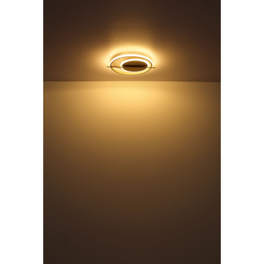 Globo - LED Griestu lampa LED/36W/230V