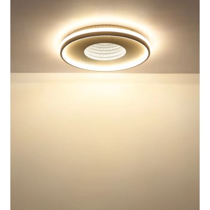 Globo - Dimmējams LED griestu gaismeklis LED/40W/230V 2700–6500K Ø 50,5 cm + tālvadības pults