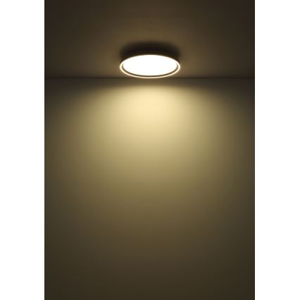 Globo - LED Aptumšojama griestu lampa LED/48W/230V 2700-6000K + tālvadības pults d. 50 cm