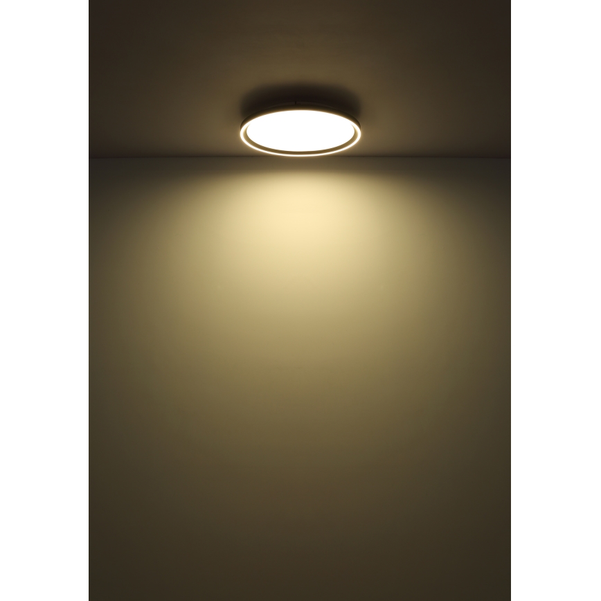 Globo - LED Aptumšojama griestu lampa LED/48W/230V 2700-6000K + tālvadības pults d. 50 cm