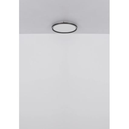 Globo - LED Aptumšojama griestu lampa LED/48W/230V 2700-6000K + tālvadības pults d. 50 cm