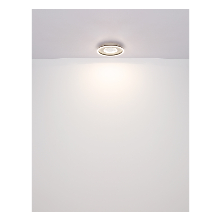 Globo - LED Griestu lampa LED/24W/230V 2700/4500/6500K d. 33 cm