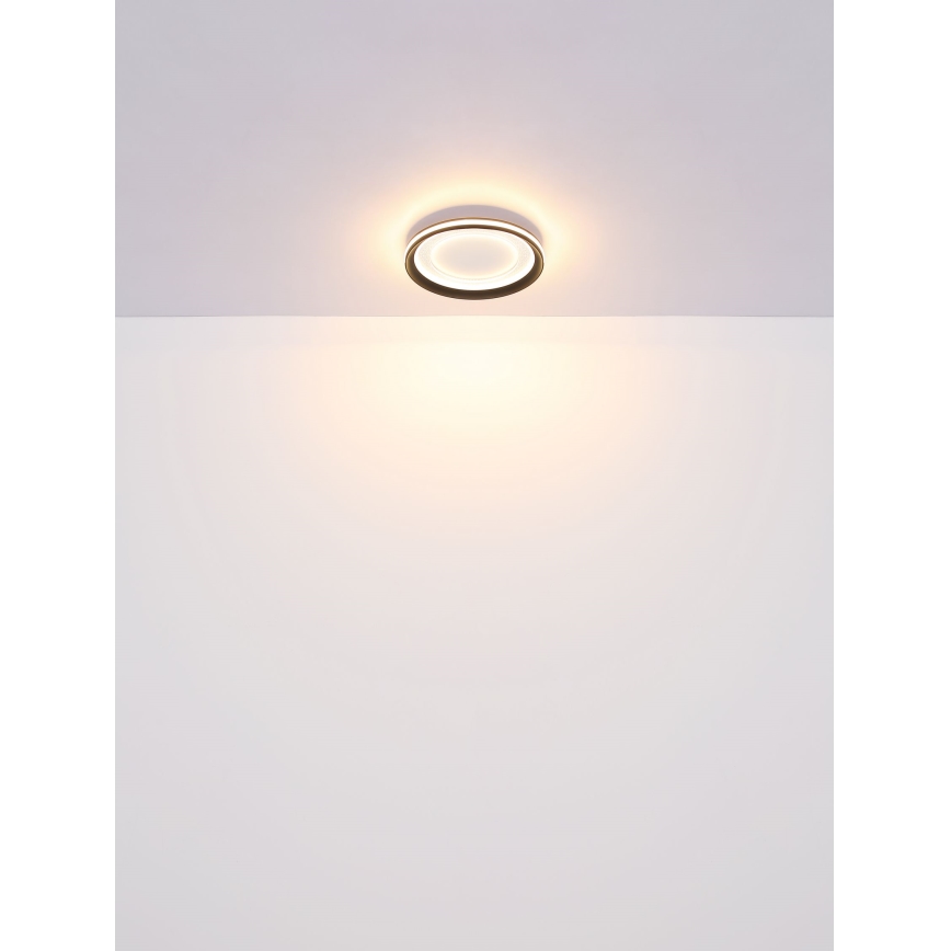 Globo - LED Aptumšojama griestu lampa LED/24W/230V 2700-6000K + tālvadības pults