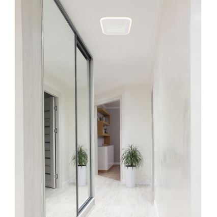 Globo - LED Griestu lampa LED/12W/230V 4000K