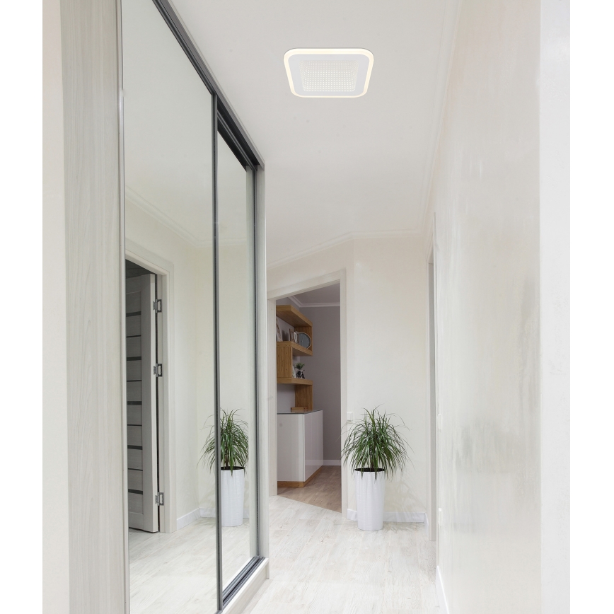 Globo - LED Griestu lampa LED/12W/230V 4000K