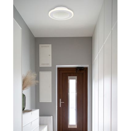 Globo - LED Griestu lampa LED/12W/230V 4000K