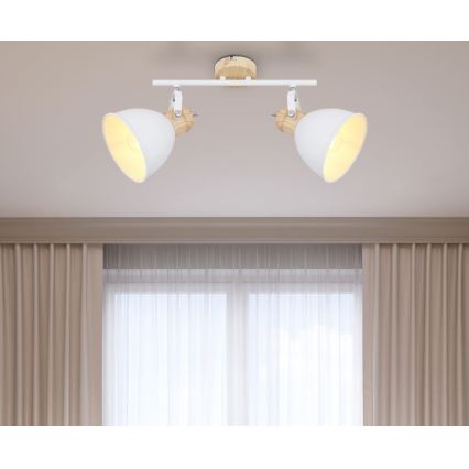 Globo - Lampa 2xE27/40W/230V
