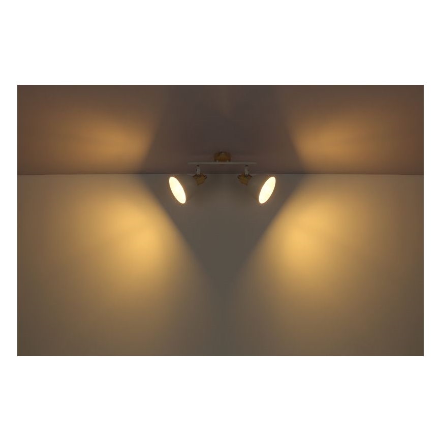 Globo - Lampa 2xE27/40W/230V