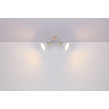 Globo - Lampa 2xE27/40W/230V