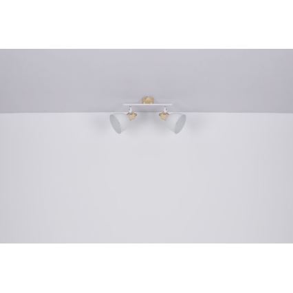 Globo - Lampa 2xE27/40W/230V