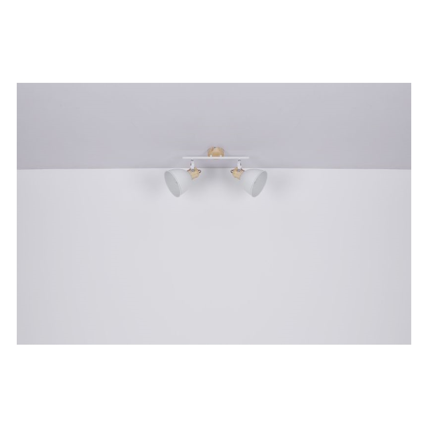 Globo - Lampa 2xE27/40W/230V