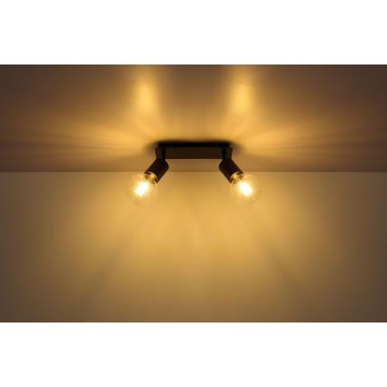 Globo - Lampa 2xE27/60W/230V