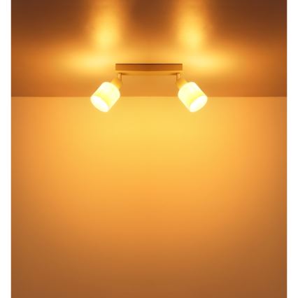 Globo - Virziena gaismeklis 2xE14/25W/230V