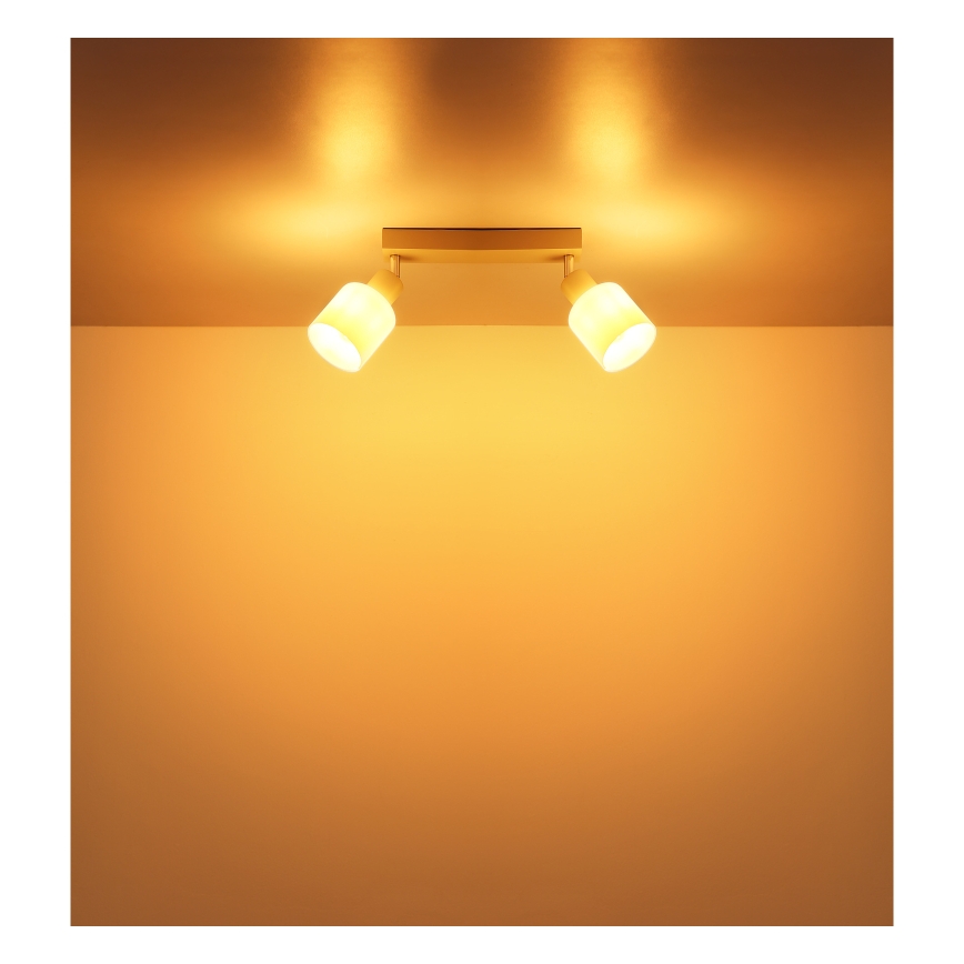 Globo - Virziena gaismeklis 2xE14/25W/230V