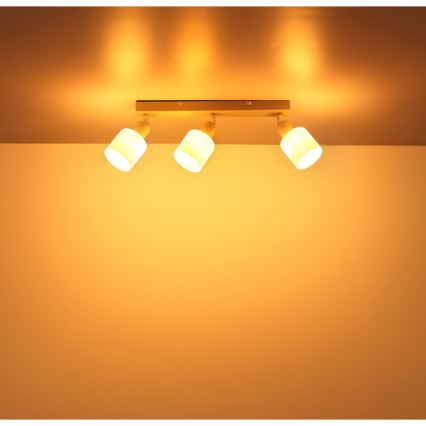 Globo - virziena gaismeklis 3xE14/25W/230V