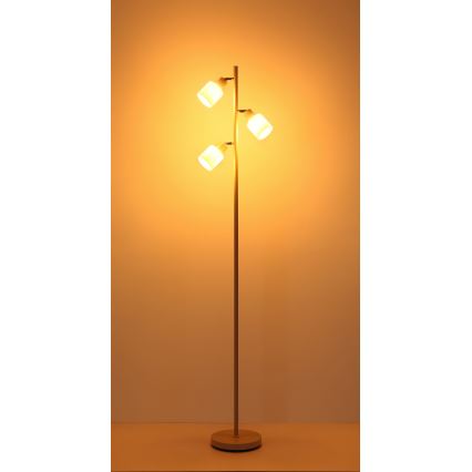 Globo - Grīdas lampa 3xE14/25W/230V