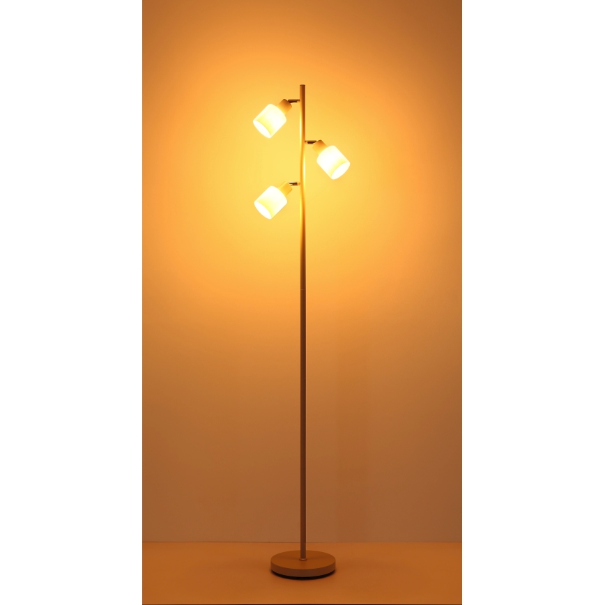 Globo - Grīdas lampa 3xE14/25W/230V