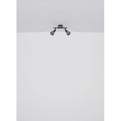 Globo - Starmetis 2xE14/25W/230V
