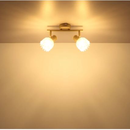 Globo - Virzāmais gaismeklis 2xE14/40W/230V