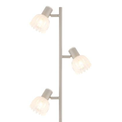 Globo - Grīdas lampa 3xE14/40W/230V