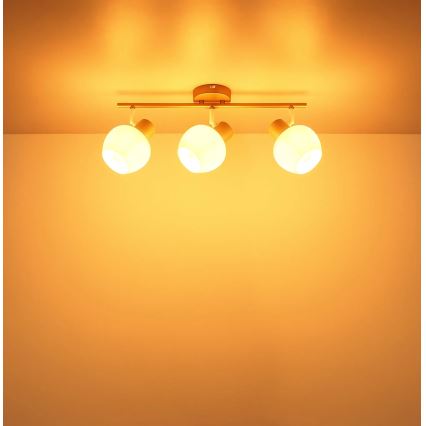 Globo - Virziena gaismeklis 3xE27/40W/230V