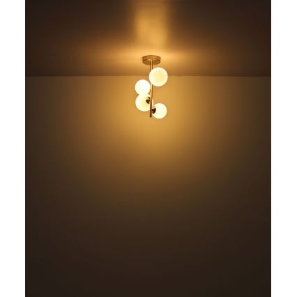 Globo - LED Lustra ar stieni 4xG9/3W/230V matēts hroms
