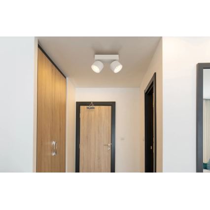 Globo - LED virziena gaismeklis 2xLED/6W/230V