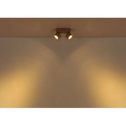 Globo - LED virziena gaismeklis 2xLED/6W/230V